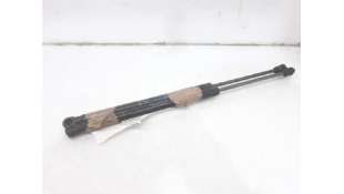 AMORTIGUADORES CAPO BMW Z4 ROADSTER (2011-2016) SDRIVE 20 I 184CV 1997CC - L. 5235138 / 51237285823